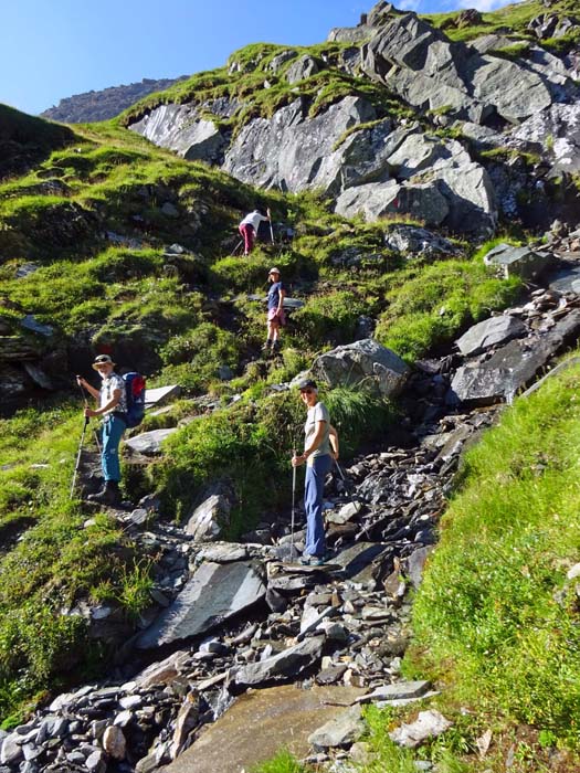 die Steigspuren führen teils steil und erdig durch die abschüssigen Grasflanken zur Höhe ... die Steigspuren führen teils steil und erdig durch die abschüssigen Grasflanken zur Höhe ...