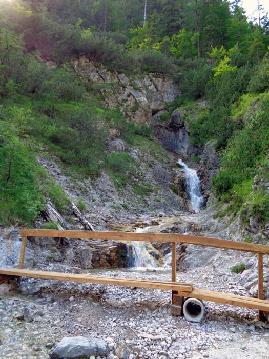 auf der Forststraße im Kerschbaumertal; 10 m unterhalb des Hallebach-Übertritts mündet der unscheinbare, nicht markierte Jagdsteig, den wir im Abstieg benützen werden