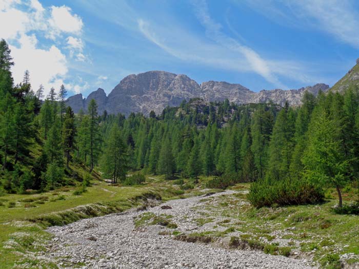 die breite Ostwand des Kreuzkofel, wie sie sich kurz oberhalb des Kerschbaumeralm-Schutzhauses über den Hochwald erhebt