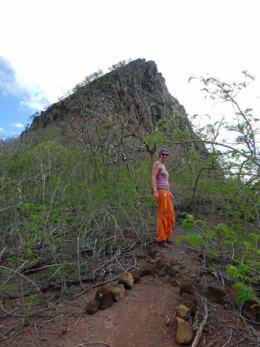 gibt es auf Ua Pou doch jemanden, der auf die Berge steigt? - Oft erntet man auf den Marquesas nur schallendes Gelächter, wenn man nähere Infos zu einem Gipfel haben möchte
