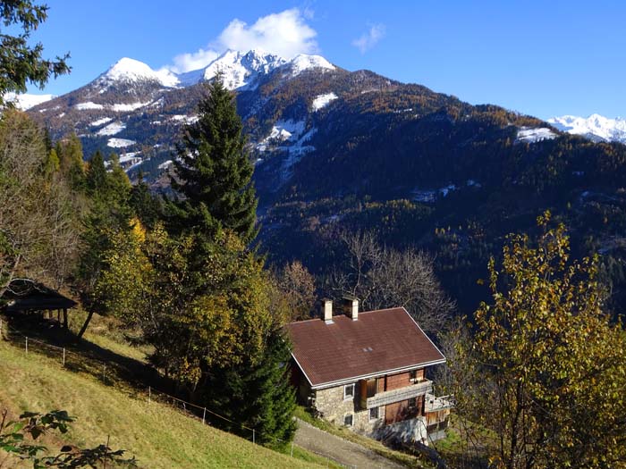 Ausgangspunkt ist das Gehöft Kaufmann, 500 m über dem Boden des oberen Mölltals, darüber der Zellinkopf mit seinen Trabanten (Goldberggruppe, s. Archiv)                            