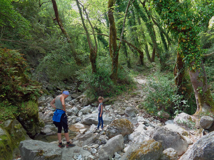 endlich öffnet sich die Schlucht zu einem Wäldchen