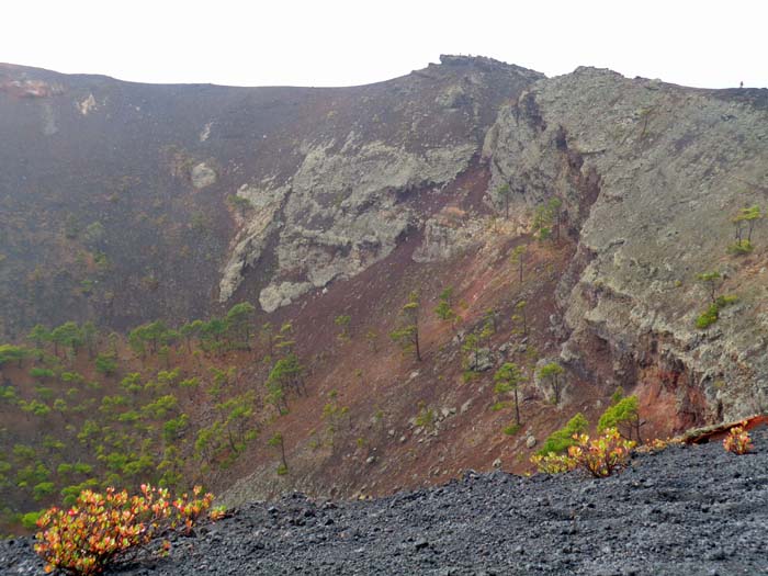 30 km weiter südlich wandelt sich das grüne Inselbild: am Kraterrand des Volcán San Antonio - 600 m über dem Atlantik - sind Ocker- und Grautöne vorherrschend, seinen letzten Ausbruch erlebte er vor knapp 400 Jahren
