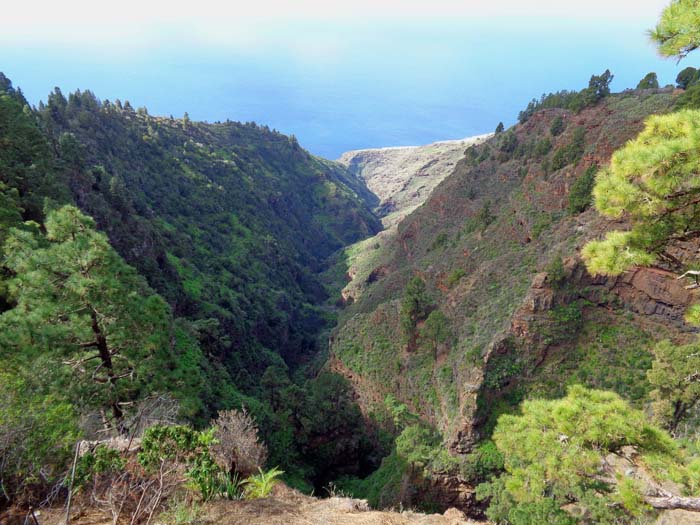 auf unserer Weiterfahrt in den Norden passieren wir zahlreiche lohnende Aussichtspunkte, wie den Mirador de Garome hoch über dem gleichnamigen Barranco ...