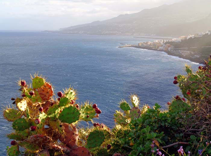 am Mirador de Los Gomeros befinden wir uns schon wieder an der Ostseite der Insel, vor uns die Hauptstadt Santa Cruz