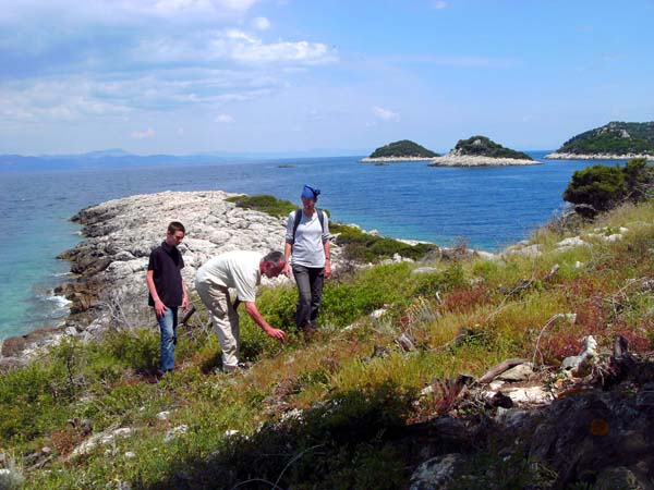  die Duvnabucht an der Nordküste der Insel Prežba gegen NO