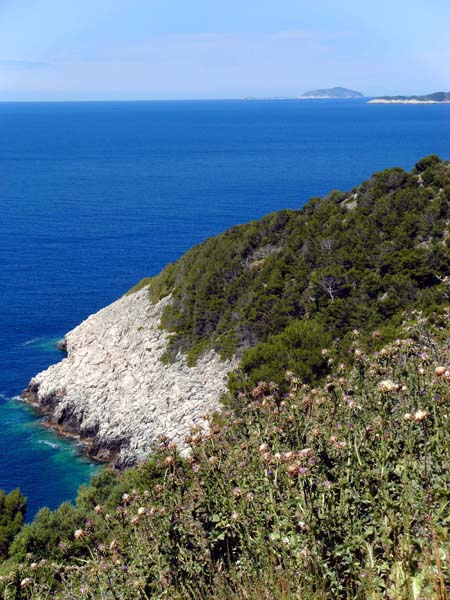 Blick von der Obja brda nach WNW zum Kap Lamprnovac, ganz hinten die Insel Sušac; die Küste ist von Land schwer erreichbar, am ehesten noch die Lamprnovac-Bucht über ein aufgelassenes Militärlager westlich der Straße von Ubli zur Südwestspitze Lastovos