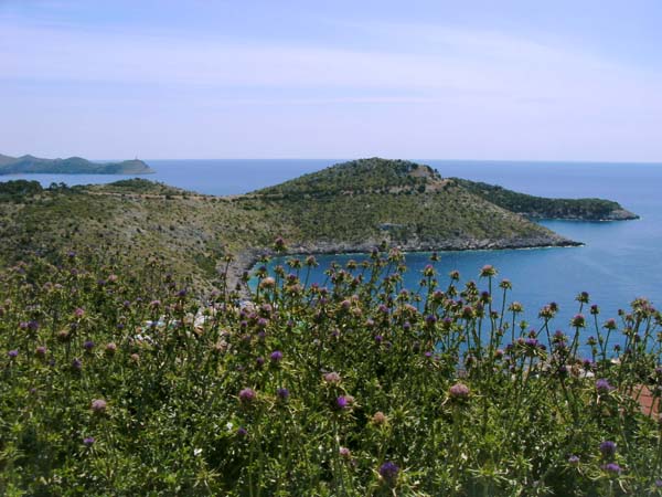 vom gleichen Standpunkt nach SO die Ponta Vejo more, die SW-Spitze der Insel