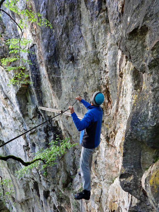 Erich auf der Seilbrücke Nummer 3