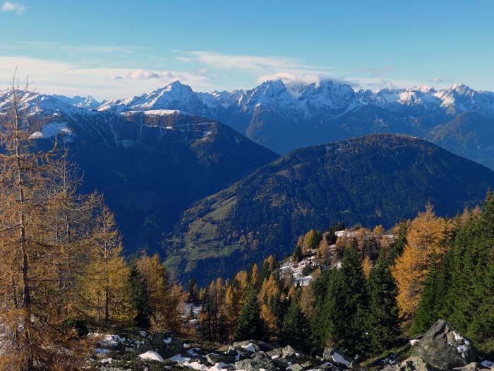 am Aufstieg zum Ebeneck knapp unterhalb der Waldgrenze: das Gipfelrätsel wird mit dem übernächsten Bild gelöst