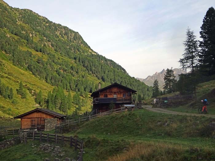 schon von der Patscher Alm ist die Arventalspitze erkennbar - ganz rechts zwischen den beiden Bäumen schon von der Patscher Alm ist die Arventalspitze erkennbar - ganz rechts zwischen den beiden Bäumen