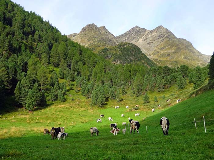 die Fleischbachspitze über dem Gamskar ist nur einer der vielen selten bestiegenen Dreitausender um das hinterste Defereggental die Fleischbachspitze über dem Gamskar ist nur einer der vielen selten bestiegenen Dreitausender um das hinterste Defereggental