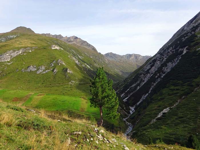 auf gut 2000 m teilt sich das Defereggental in zwei Äste: rechts das Schwarzachtal, links das Arvental, dem wir folgen auf gut 2000 m teilt sich das Defereggental in zwei Äste: rechts das Schwarzachtal, links das Arvental, dem wir folgen