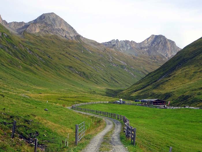 ... erreichen wir die Arventalalm; von hier folgen wir dem auch für Fahrräder gesperrten Weg noch einen guten Kilometer weit und steigen dann die Grashänge links hinauf in Richtung Lenkspitze, der höchsten Erhebung des Prettaukamms ... erreichen wir die Arventalalm; von hier folgen wir dem auch für Fahrräder gesperrten Weg noch einen guten Kilometer weit und steigen dann die Grashänge links hinauf in Richtung Lenkspitze, der höchsten Erhebung des Prettaukamms