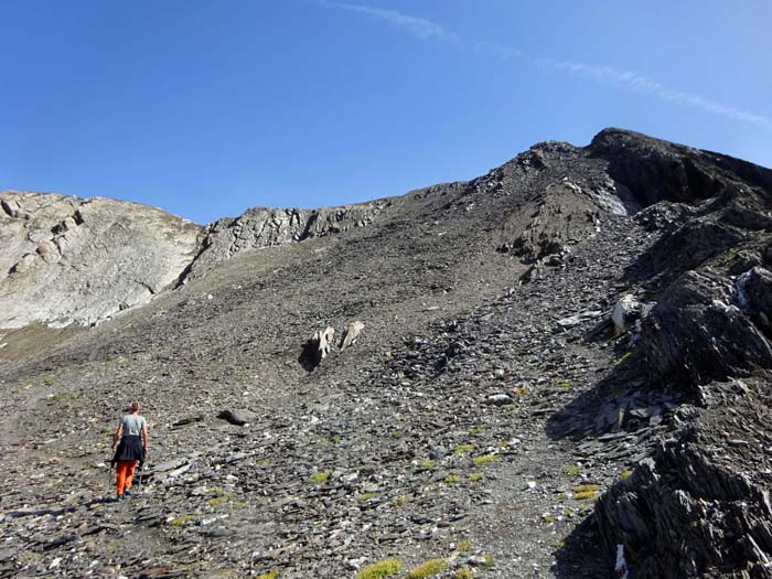 der Lenkstein wird in letzter Zeit auch von der Südtiroler Seite wieder häufiger bestiegen, sodass sich in der erdigen Gipfelflanke eine Art Steig gebildet hat der Lenkstein wird in letzter Zeit auch von der Südtiroler Seite wieder häufiger bestiegen, sodass sich in der erdigen Gipfelflanke eine Art Steig gebildet hat