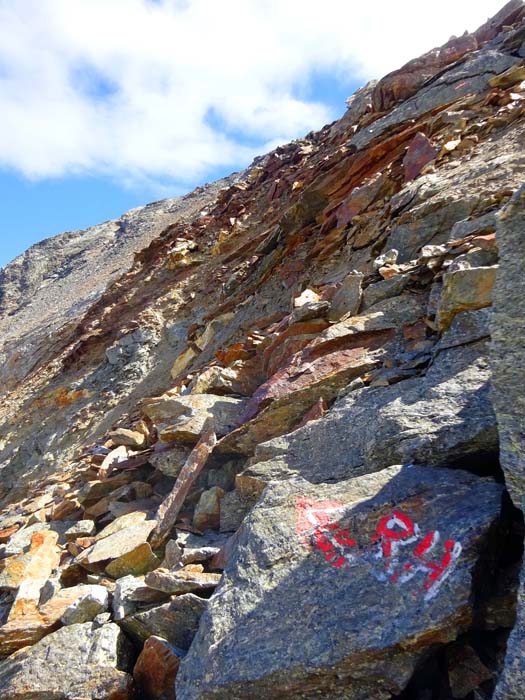 der Weg zum Gipfel ist sogar markiert und nicht so elend wie der erste Eindruck, man findet sogar noch Reste der legendären Südtiroler Steintreppen wie hinauf aufs Fenneregg; vom Gipfel könnte man direkt nach Norden absteigen zum Seeblsattel, den wir heute über den einstigen Gletscher erreichen der Weg zum Gipfel ist sogar markiert und nicht so elend wie der erste Eindruck, man findet sogar noch Reste der legendären Südtiroler Steintreppen wie hinauf aufs Fenneregg; vom Gipfel könnte man direkt nach Norden absteigen zum Seeblsattel, den wir heute über den einstigen Gletscher erreichen