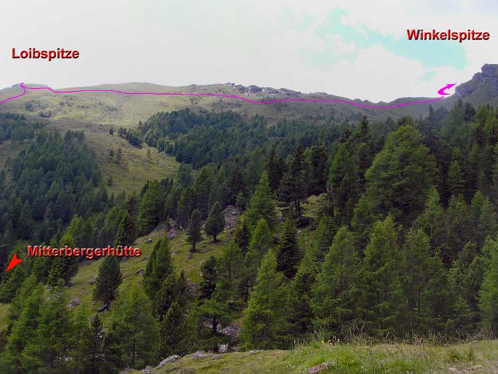 der kecke Schrofenlöffel der Loibspitze erscheint von hier als zahmer Wiesenhang