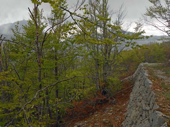 zahllose Kilometer dieser mit reiner Muskelkraft errichteten Straßen durchziehen jedes Gelände; früher zum schnellen Transport von Truppen und Kriegsgerät, heute als genussreiche Trassen für Wanderer und Mountainbiker