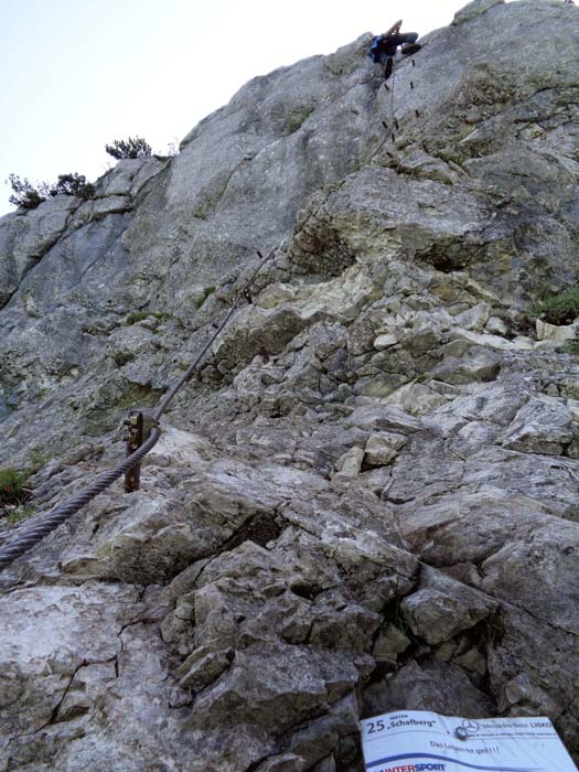 am Schafberg: „Das Leben ist geil!!!“