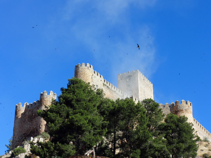 das imposante maurische Kastell hoch über Almansa