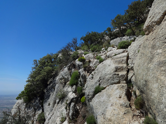 geschickt schwindelt sich der Steig im Zickzack durch die Felsen, zuletzt auf ausgeschlagenen Stufen