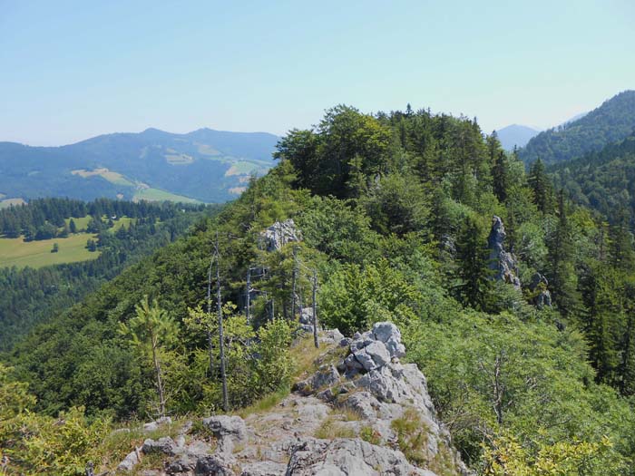 Rückblick auf den Vorgipfel; an dieser Stelle kommt von rechts der Steig herauf