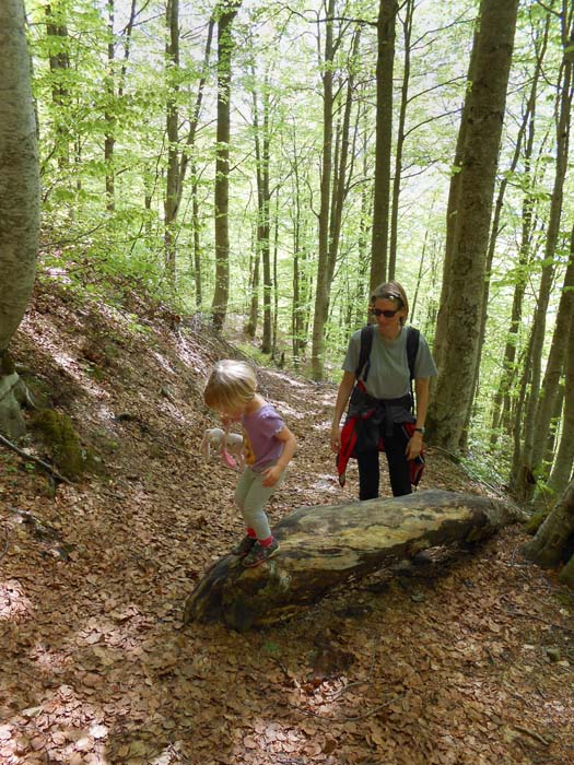 nach einer heiklen Bachüberquerung führt ein netter Steig durch den Laubwald