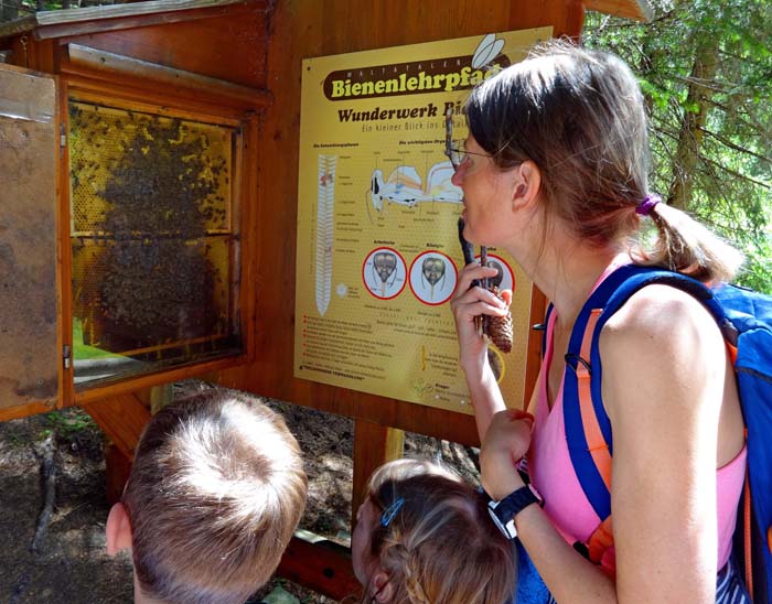 interessant für Groß und Klein: der Bienenlehrpfad