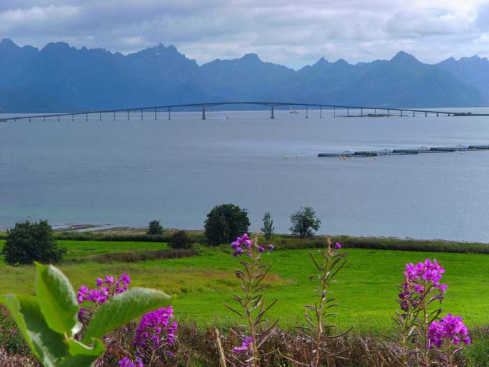 die Langøysundbrücke gegen SO mit dem Nationalpark Møysalen auf der Insel Hinnøya