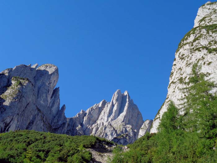 viele der einst heiß begehrten Kletterrouten sind heute irgendwie aus der Mode geraten, dennoch schlägt bei ihrem Anblick jedes Klettererherz höher: Über der Gamsriese thront der Manndlkogel, an dessen Nordkante Paul Preuß am 3. Oktober 1913 bei einem Alleingang zu Tode stürzte