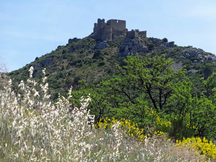 die Ruinen des Château d'Aguilar gleich ums Eck hinter Tuchan blicken von einem felsigen Hügel auf die umliegenden Weinberge herab
