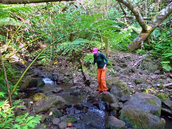 über Steilwald umgeht man den annähernd senkrechten Wasserfallkessel linksseitig und gelangt ins flache Hochtal mit seinem Zufluss, den man mehrmals quert