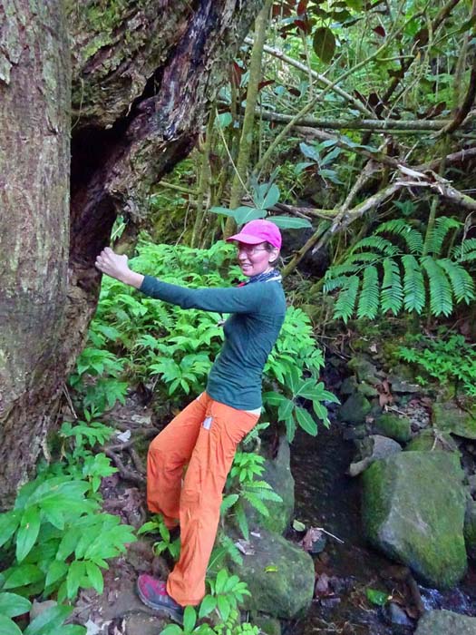 hat man unten am Bach den Trailhead einmal gefunden (was auf den Inseln ohne Führer oftmals das größte Problem darstellt), wird man den Pfad nicht mehr so leicht verlieren - ohne Steig kommt man ohnehin nicht weit