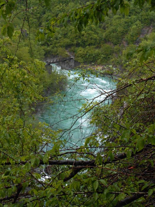 kurz vor dem mit Vorsicht zu begehenden Steg über den Nebenfluss