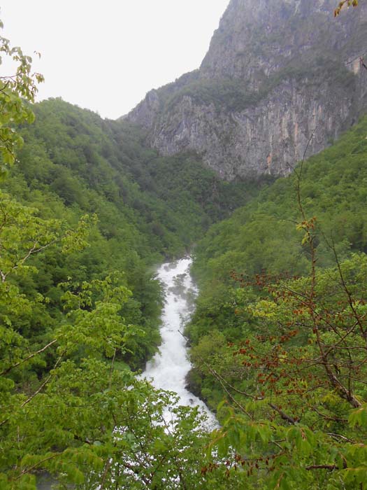 etwas schluchtaufwärts stürzt von den gegenüberliegenden Flanken ein steiler Nebenfluss in die Mrtvica; den eigentlichen Fall kann man wegen des dichten Bewuchses vom Wanderweg aus nicht sehen