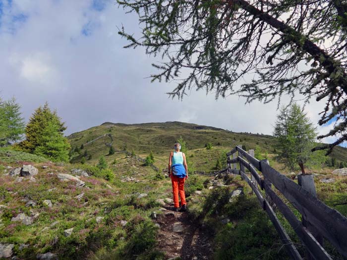 am gemütlichen Südkamm des Strasskopf, auch im Winter mit Schi gern begangen; noch hoffen wir auf Wetterbesserung