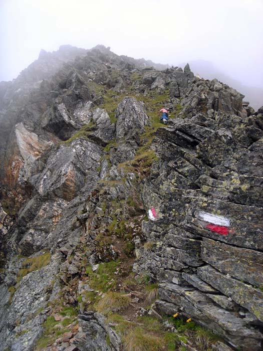 mit steileren grasigen Passagen erinnert der Grat an den Normalweg aufs Waldhorn in den Schladminger Tauern