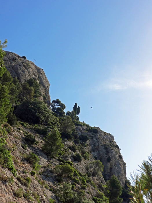 ... die hinaus in die Südflanke queren, sondern sich eher am Fuß der Gipfelfelsen halten, wo der Hauptsteig zur Terrasse in Bildmitte hinauf leitet