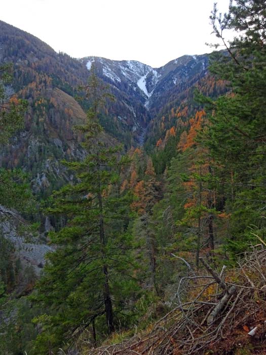 hinter der sonnigen Almlandschaft verbirgt sich der düstere Graben des Gailbergbachs, den wir auf unserer Tour hufeisenförmig umrunden