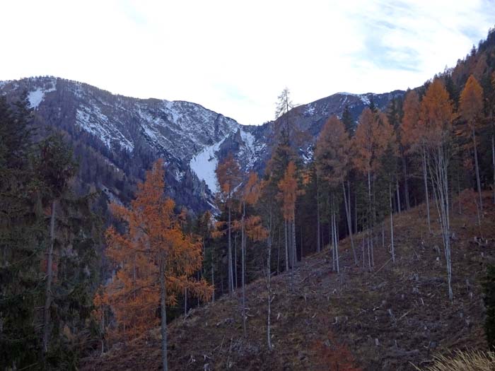 nicht der gesamte Ostkamm ist so schön aufgeräumt wie dieser Fleck; Blick in die Silberscharte