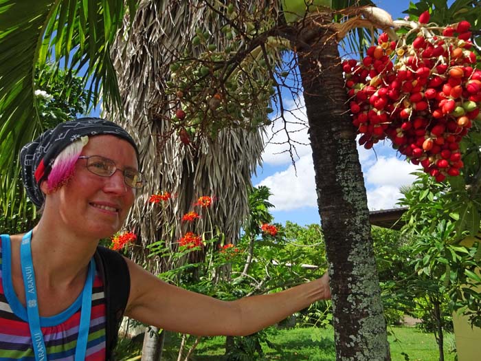 auf fast allen Inseln des Südpazifik ertrinkt man beinahe in Blüten und Früchten, die Bewohner sind Selbstversorger und nicht unbedingt auf Gelderwerb angewiesen, was Lebensweise und Umgang mit den Mitmenschen erheblich beeinflusst
