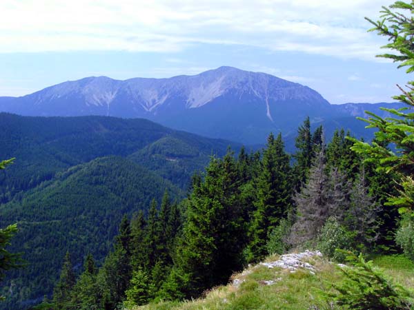 am Öhler wird erstmals der Blick auf die mächtige Schneeberg-Ostflanke frei