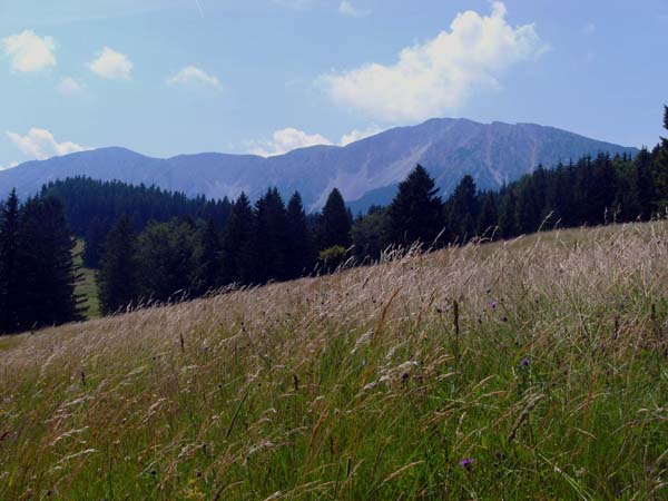 die Mamauwiese bietet neben schönen Landschaftsbildern auch ein empfehlenswertes Gasthaus; der Familienbetrieb hat ganzjährig geöffnet (Mittwoch Ruhetag)