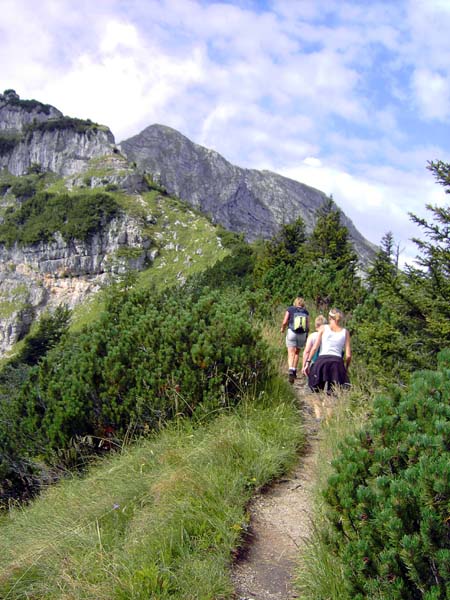 auf aussichtsreichem Steig zu den ersten Felsaufbauten