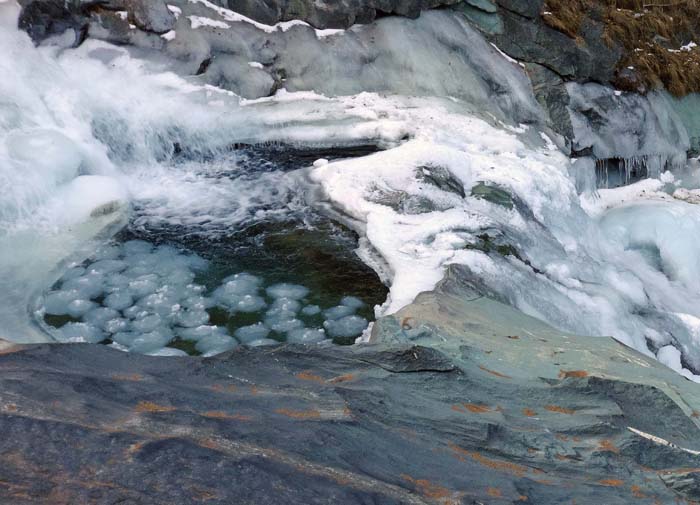 wir können uns nicht sattsehen an den Launen der Natur, wie etwa an diesen fröhlich dahintümpelnden Eisküken