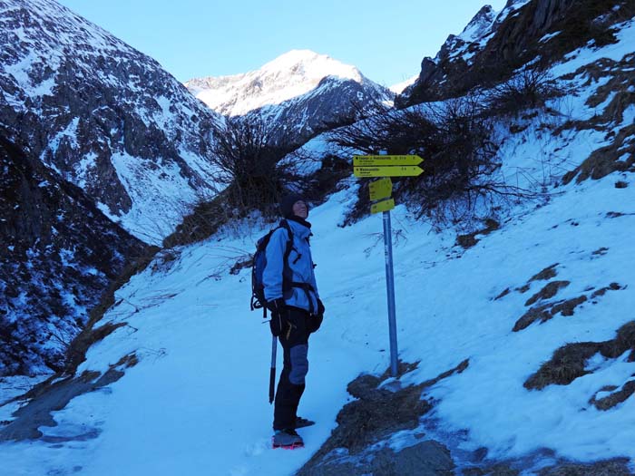 kurz danach die Abzweigung des neuen Steiges auf die Wiesbauerspitze; geradeaus weiter gelangt man nach 2 km zur Clarahütte