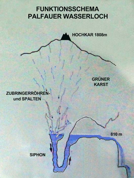 das Sickerwasser des Hochkarmassivs sammelt sich in einem Siphon und wird nach dem Prinzip der Kommunizierenden Röhren wieder in die Höhe gedrückt, bevor es sich nach außen in die Schlucht ergießt