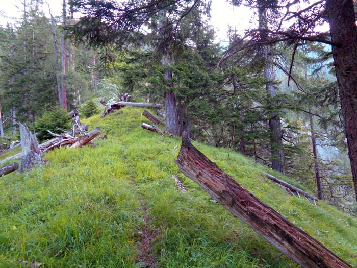 vom Wasserloch quert ein beschilderter Steig westlich hinüber zum Jägerriedl, wo ein alter Jagdsteig als Abstiegsvariante revitalisiert wurde; folgt man dem Jägerriedl bergwärts, verliert sich der verwachsene Steig bald in steilen, unwegsamen Waldhängen