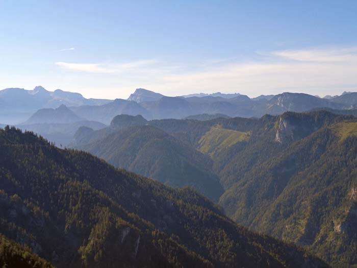 trotz des dichten Waldes am Gipfel des Falken kommt man am Rand der steilen Felsabbrüche zu einigen schönen Ausblicken, hier gegen SO aufs Hochschwabmassiv