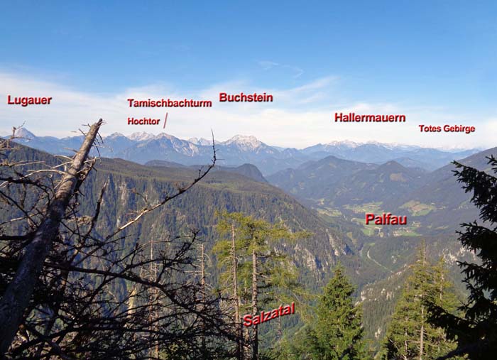 im SW erkennen wir wieder bekanntere Berge bis hin zum Großen Priel; selbst Leute, die es bis hierher geschafft haben, möchten wir vor dem Abstieg über den Westkamm in Richtung Mendlingstein warnen